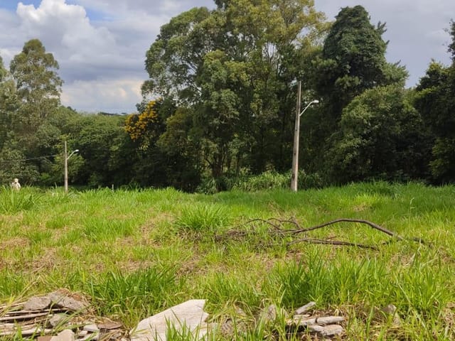 Foto do Terreno - Terreno à venda, Jardim Aeroporto, ideal para investidores e construtores,Apucarana, PR | J. Mareze Imóveis Ltda