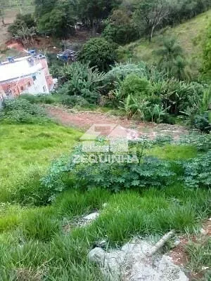 Terreno, 2573 m² - Foto 8