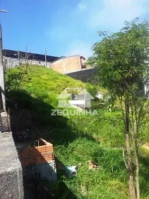 Terreno, 2573 m² - Foto 3