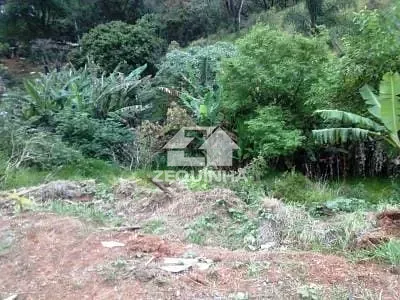 Terreno, 2573 m² - Foto 6