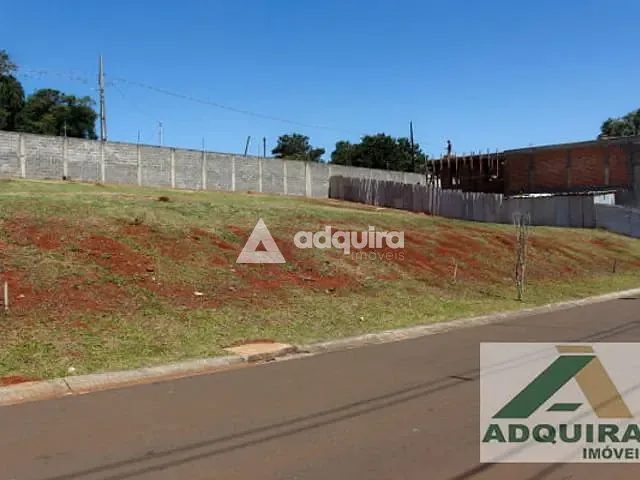 Terreno com 438m², à venda, no bairro Colônia Dona Luíza em Ponta Grossa