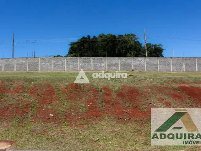 Terreno com 438m², à venda, no bairro Colônia Dona Luíza em Ponta Grossa