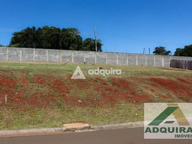 Terreno com 438m², à venda, no bairro Colônia Dona Luíza em Ponta Grossa