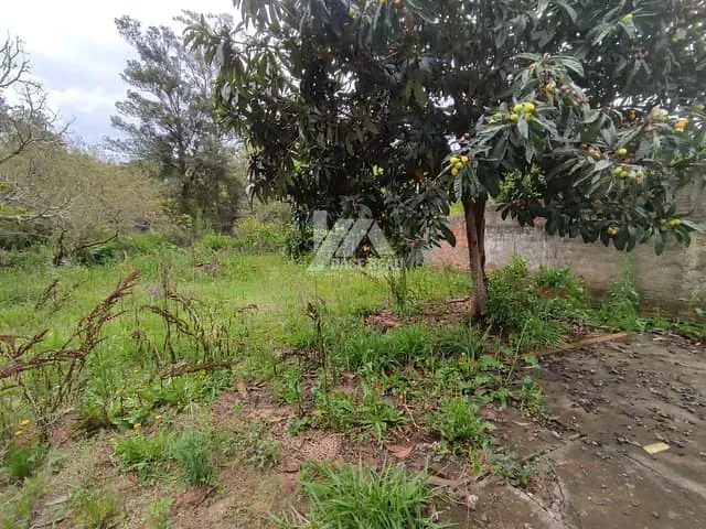 Terreno com 462m², à venda, no bairro Estrela em Ponta Grossa