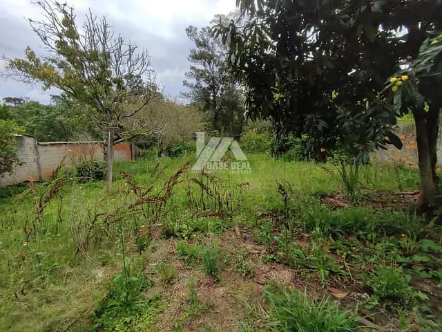 Terreno com 462m², à venda, no bairro Estrela em Ponta Grossa