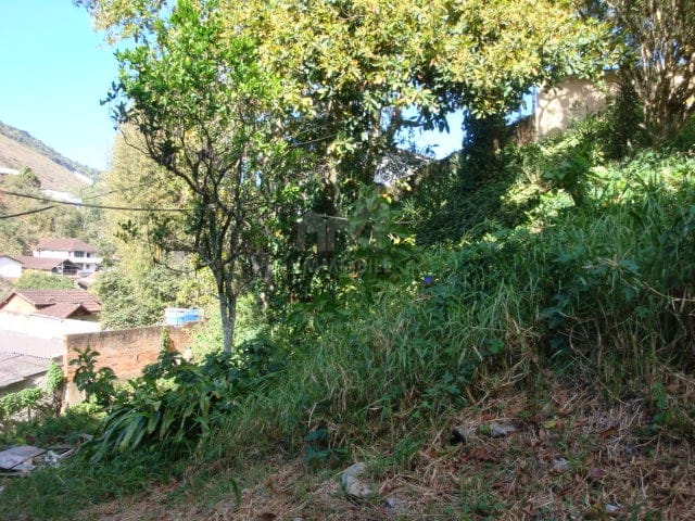 Terreno à venda, no bairro Bingen em Petrópolis