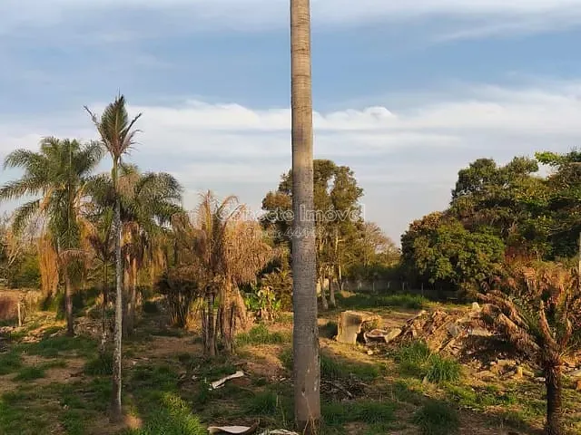 Terreno com 1591m², à venda, no bairro Chácara Long Island em Jaguariúna