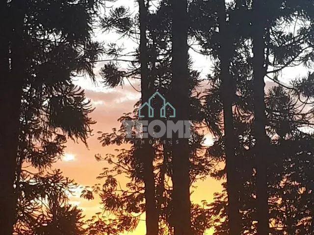 Terreno com 300m², à venda, no bairro Parque Vera Cruz em Tremembé