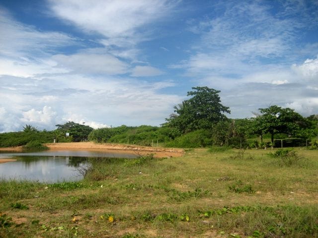 Foto do Terreno - Terreno à venda BICANGA, SERRA - ES | Vitoria Imóveis