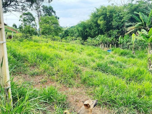 Terreno com 957m², à venda, no bairro Itaim em Cambuí