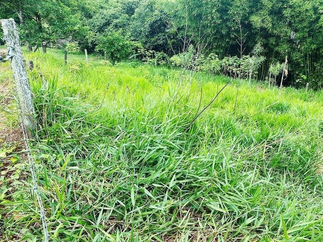 Terreno com 957m², à venda, no bairro Itaim em Cambuí