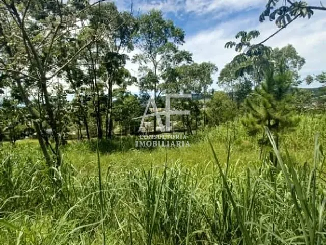 Terreno com 4380m², à venda, no bairro Chácaras Cataguá em Taubaté