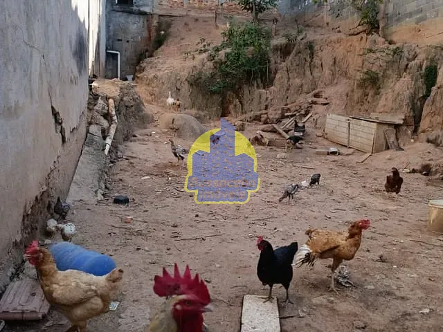 Terreno com 147m², à venda, no bairro Conceição em Osasco