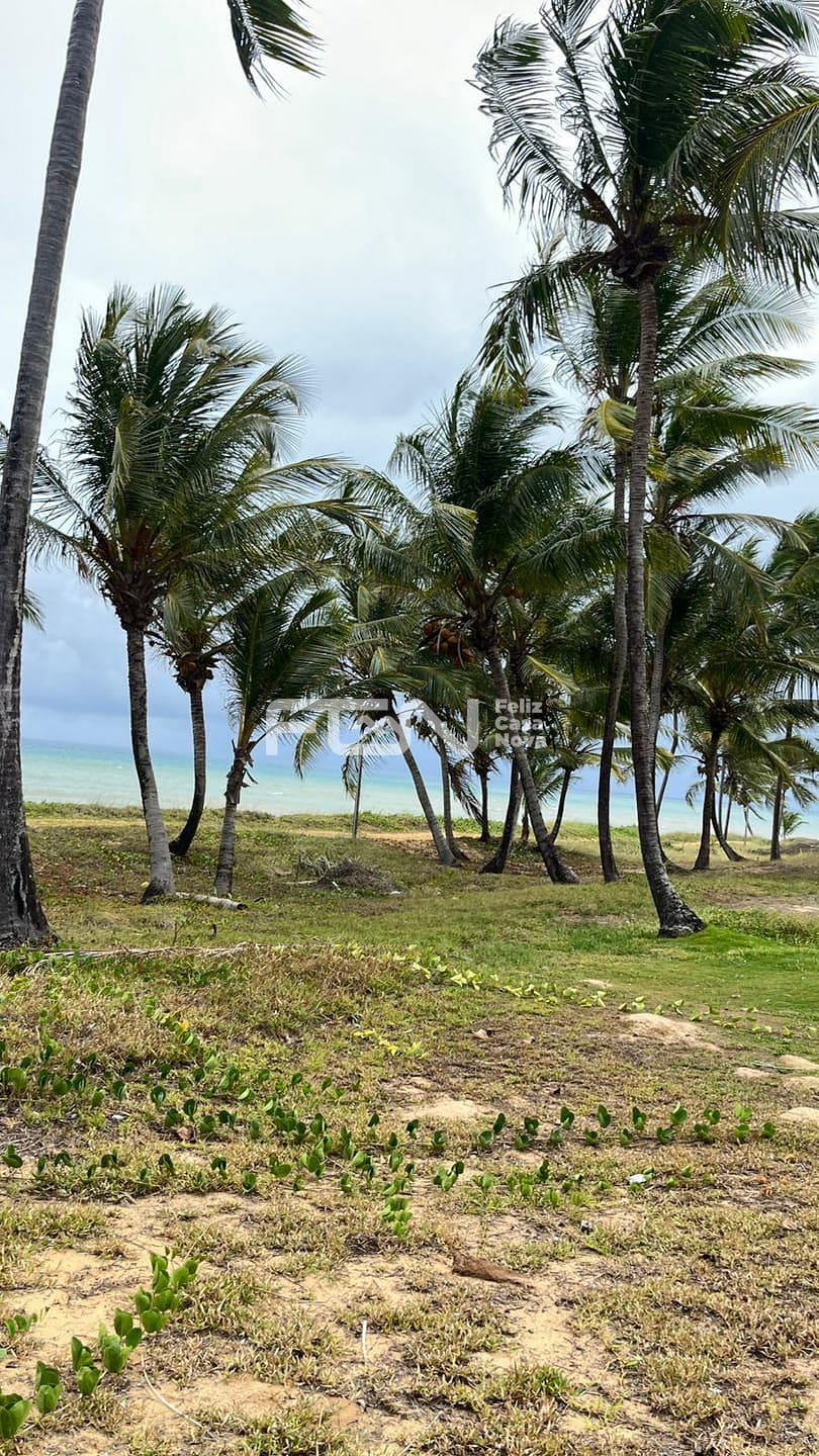 Terreno, 605 m² - Foto 13