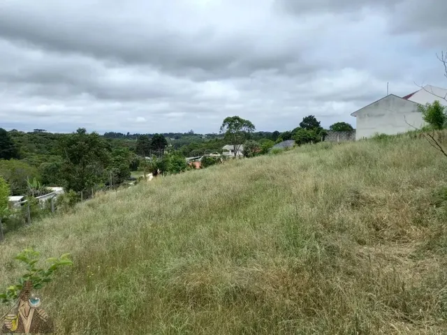 Terreno à venda, no bairro Parque do Embu em Colombo