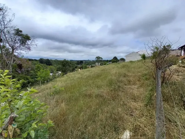 Terreno à venda, no bairro Parque do Embu em Colombo