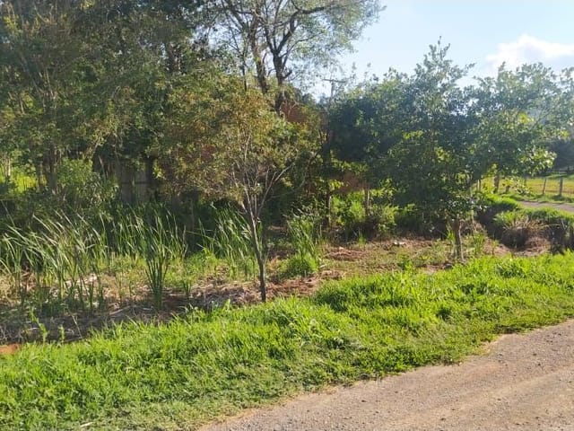 Terreno com 2200m², à venda, no bairro Água Comprida em Cambuí