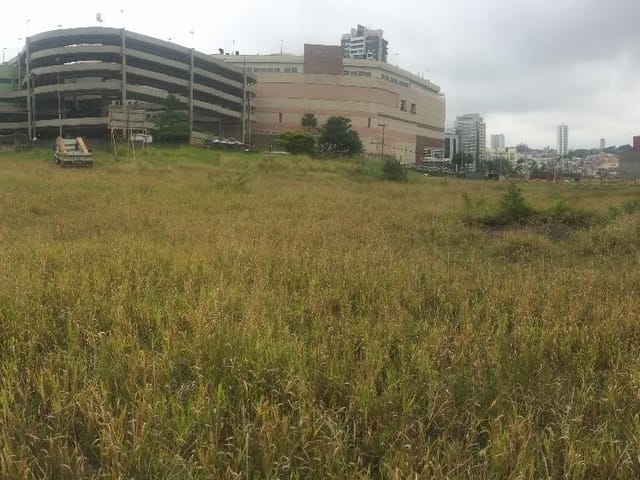 Foto do Terreno - Áreas em Jardim Anália Franco - São Paulo | Imobiliária Villela Imóveis