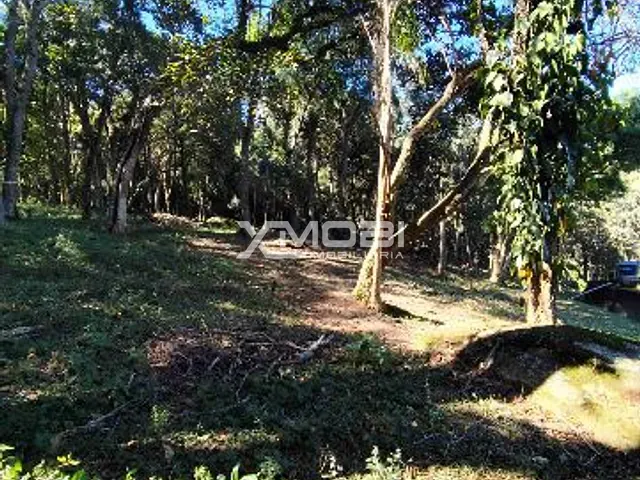 Terreno com 1000m², à venda, no bairro Caceia em Mairiporã
