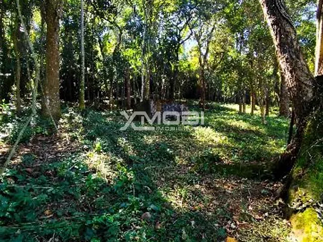 Terreno com 1000m², à venda, no bairro Caceia em Mairiporã