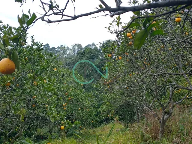 Terreno com 934m², à venda, no bairro Travessão em Dois Irmãos