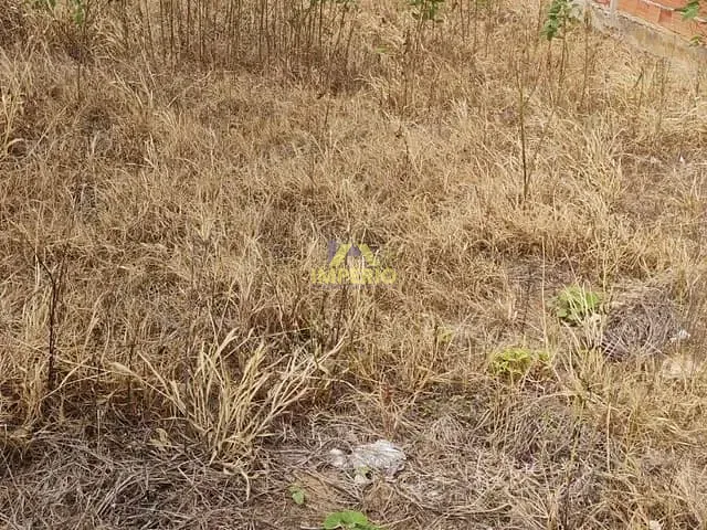 Terreno com 240m², à venda, no bairro Residencial Vila Martins em Salto