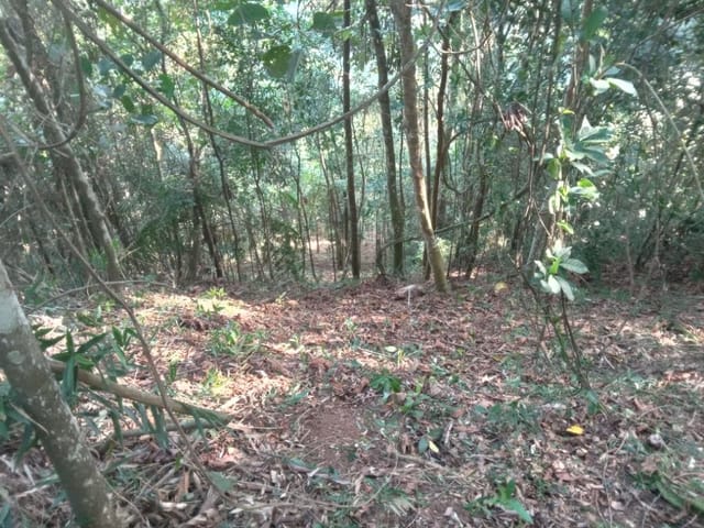 Foto do Terreno - Terreno à venda, 1913 m² por R$ 450.000,00 - Àguas de Igaratá - Igaratá/SP | INDEPENDENCE NEGOCIOS IMOBILIARIOS LTDA