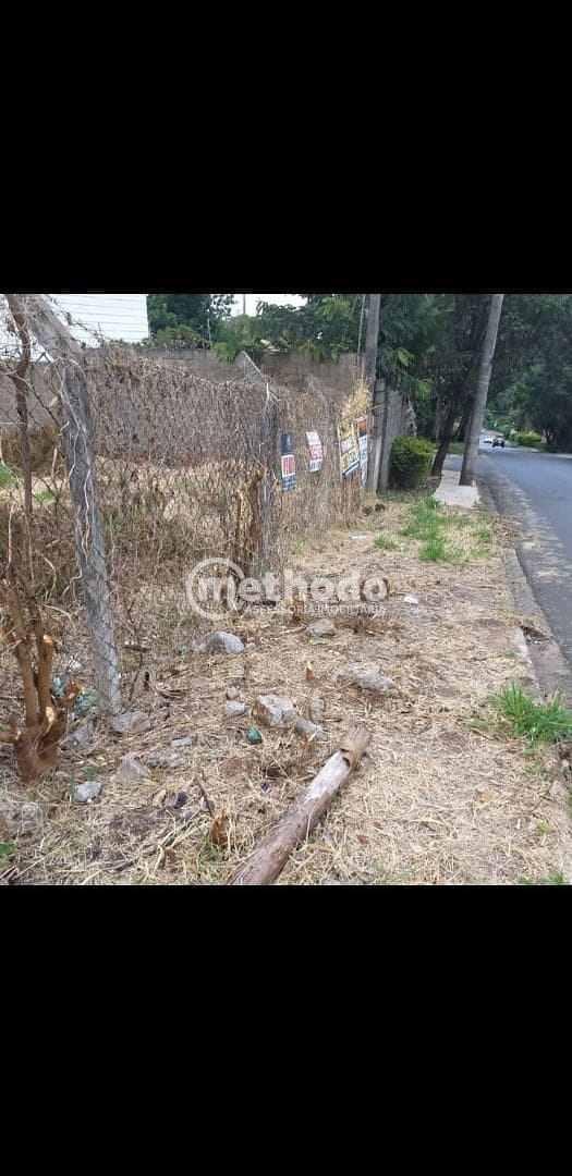 Terreno, 429 m² - Foto 3