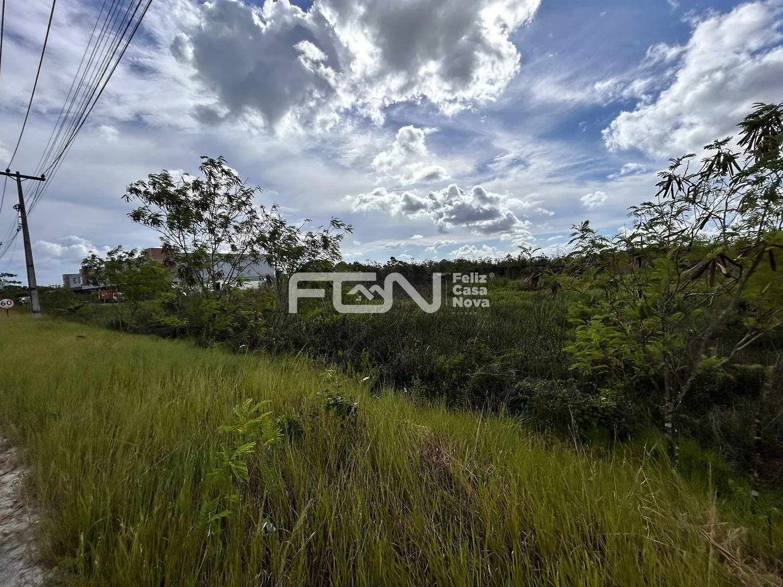 Terreno, 3 hectares - Foto 3