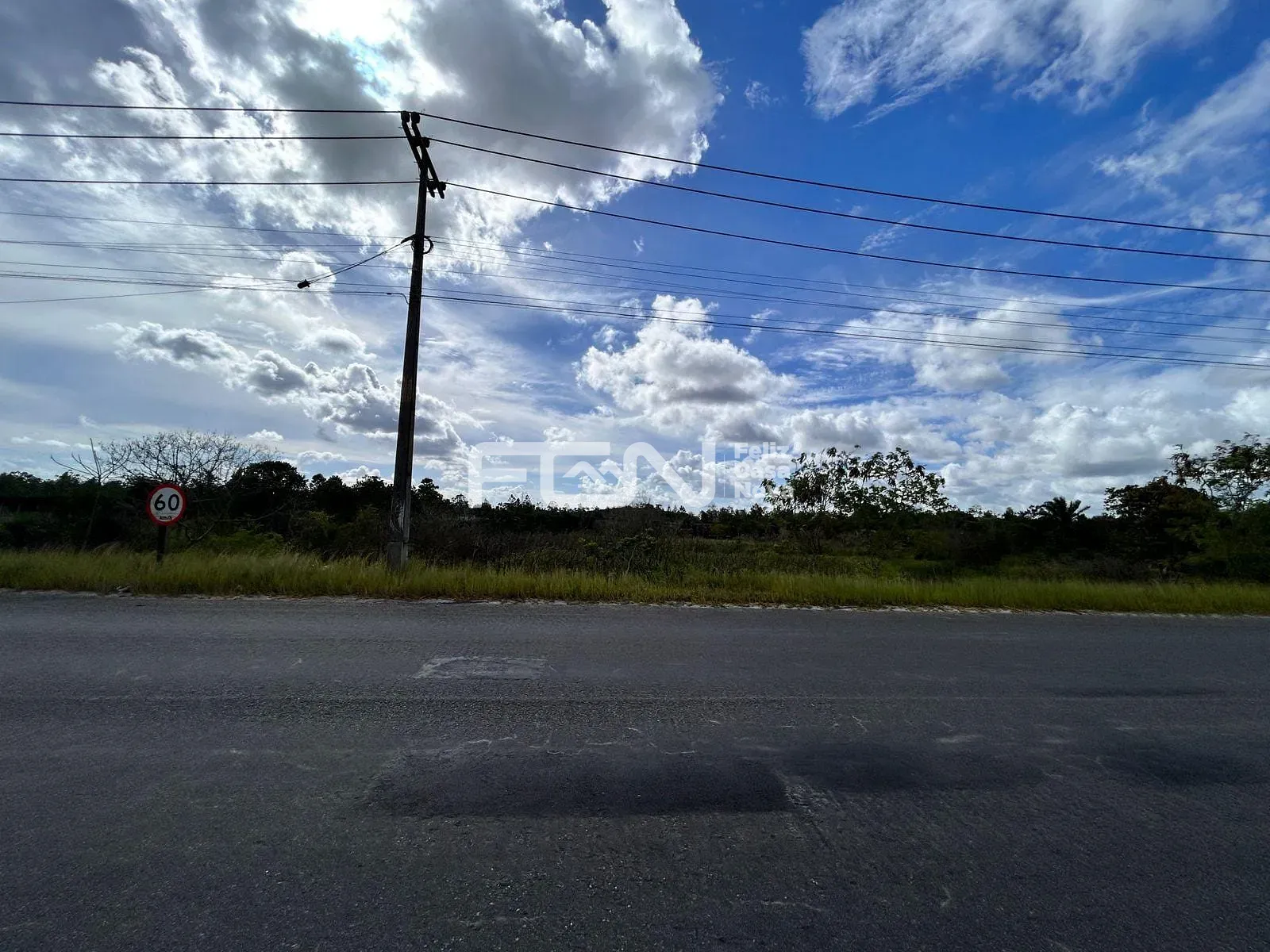 Terreno, 3 hectares - Foto 4