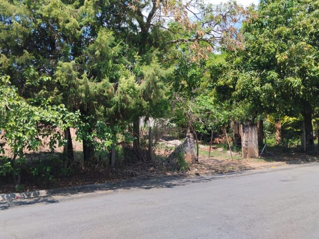 Terreno com 2900m², à venda, no bairro Jardim Santarém em São João da Boa Vista