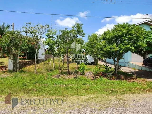 Terreno com 390m², à venda, no bairro Aimoré em Arroio Do Meio