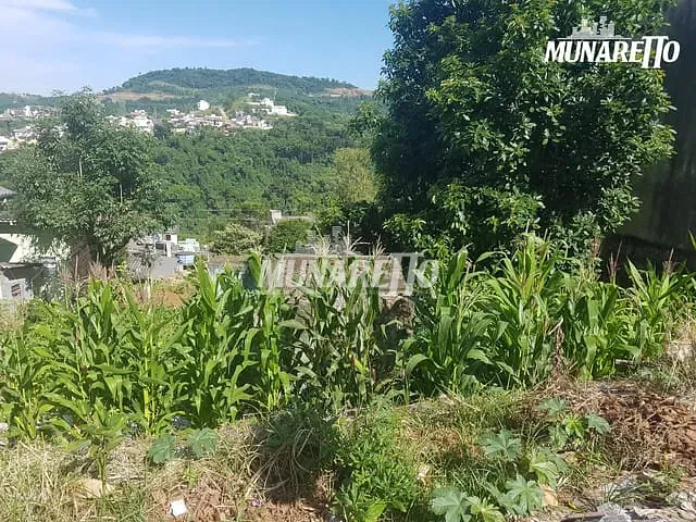 Terreno com 443m², à venda, no bairro Vista Alegre em Concórdia