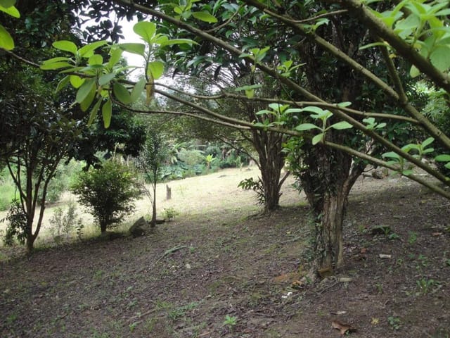 Terreno com 10040m², à venda, no bairro Chácara Santa Cecília em Itapevi