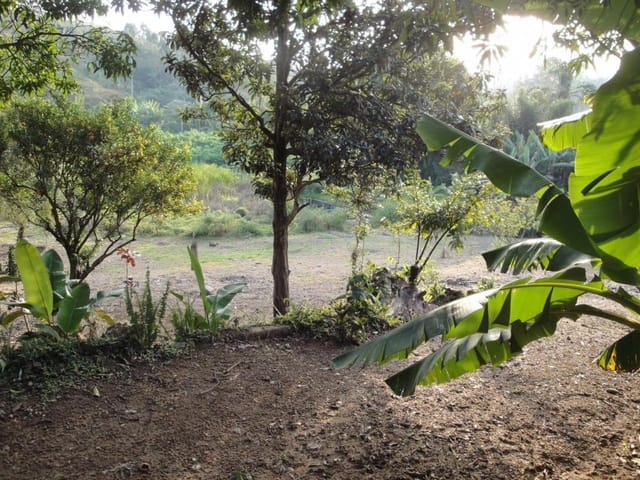 Terreno com 10040m², à venda, no bairro Chácara Santa Cecília em Itapevi