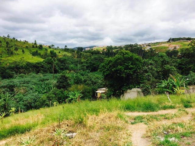 Terreno com 10040m², à venda, no bairro Chácara Santa Cecília em Itapevi