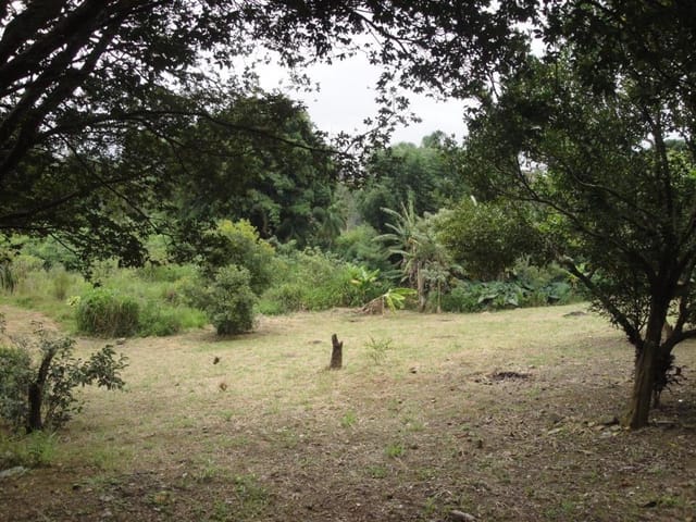 Terreno com 10040m², à venda, no bairro Chácara Santa Cecília em Itapevi