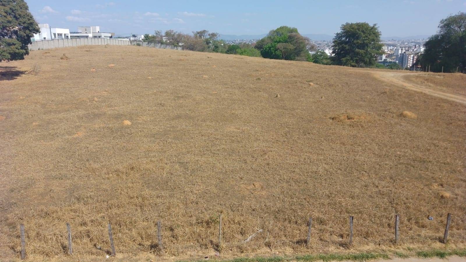 Terreno, 4 hectares - Foto 1