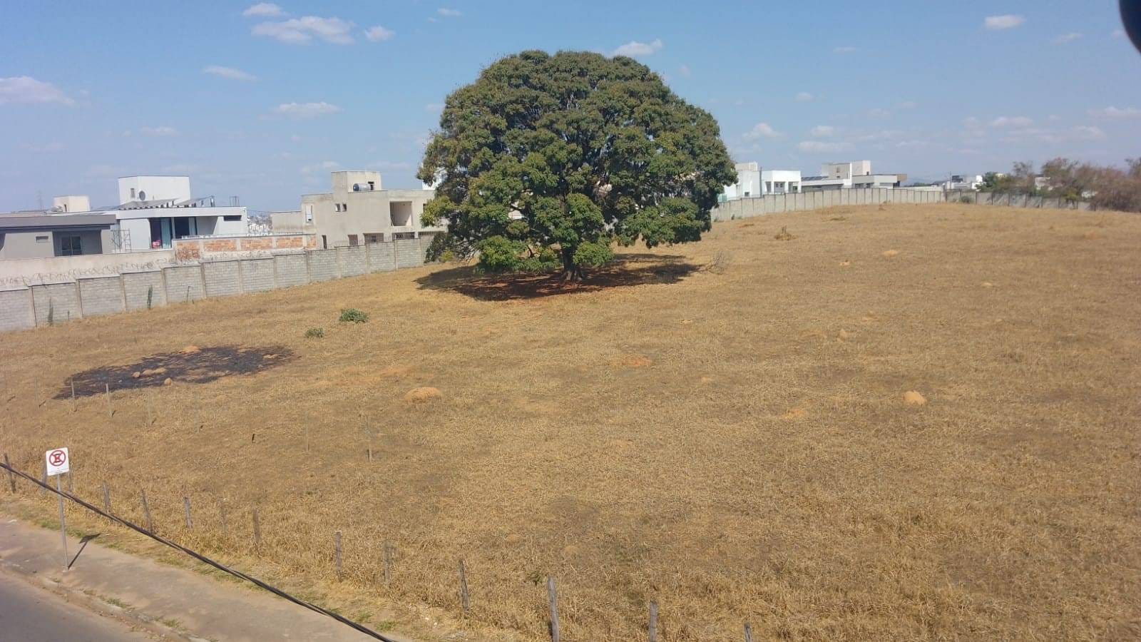 Terreno, 4 hectares - Foto 3