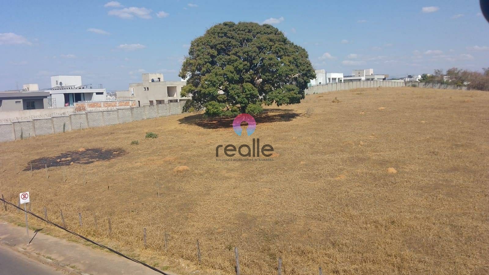 Terreno, 4 hectares - Foto 3
