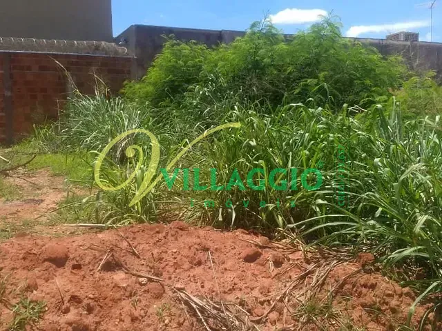 Terreno com 250m², para alugar, no bairro Conjunto Habitacional São José do Rio Preto em São José do Rio Preto