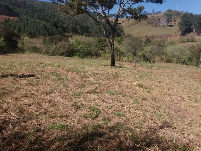 Foto do Terreno - Terreno à venda, Rodovia, Joanópolis, SP a 5km do centro de Joanópolis com ótima topografia | Boa Vista Imóveis