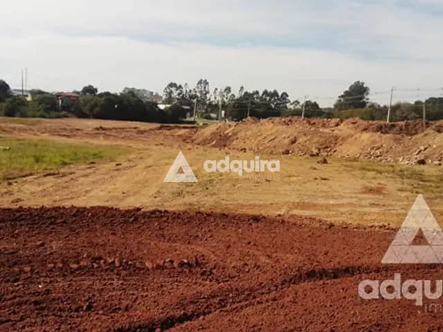 Terreno com 22047m², à venda, no bairro Jardim Colonial em Castro