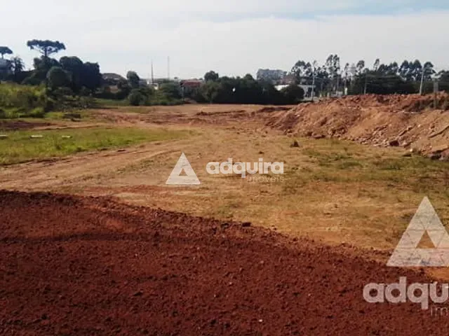 Terreno com 22047m², à venda, no bairro Jardim Colonial em Castro