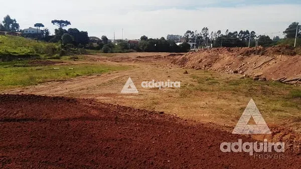 Terreno, 2 hectares - Foto 3