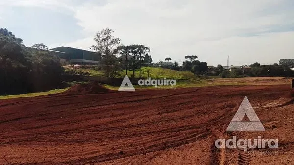 Terreno, 2 hectares - Foto 7