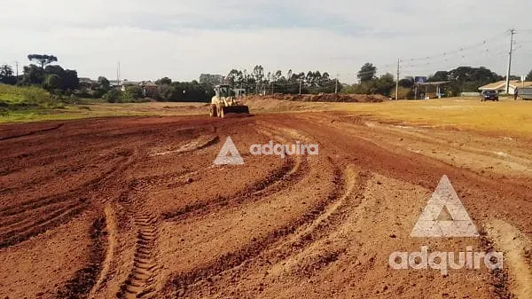 Terreno, 2 hectares - Foto 4