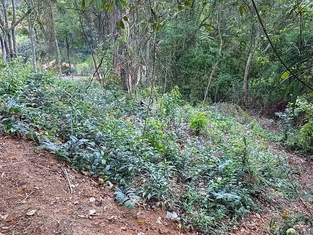 Terreno com 537m², à venda, no bairro Pessegueiros em Teresópolis