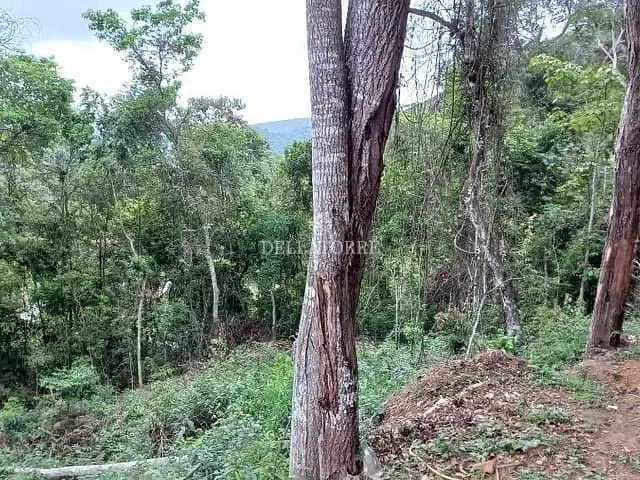 Terreno com 537m², à venda, no bairro Pessegueiros em Teresópolis