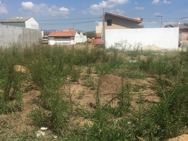Terreno com 206m², à venda, no bairro Parque das Palmeiras em Pindamonhangaba